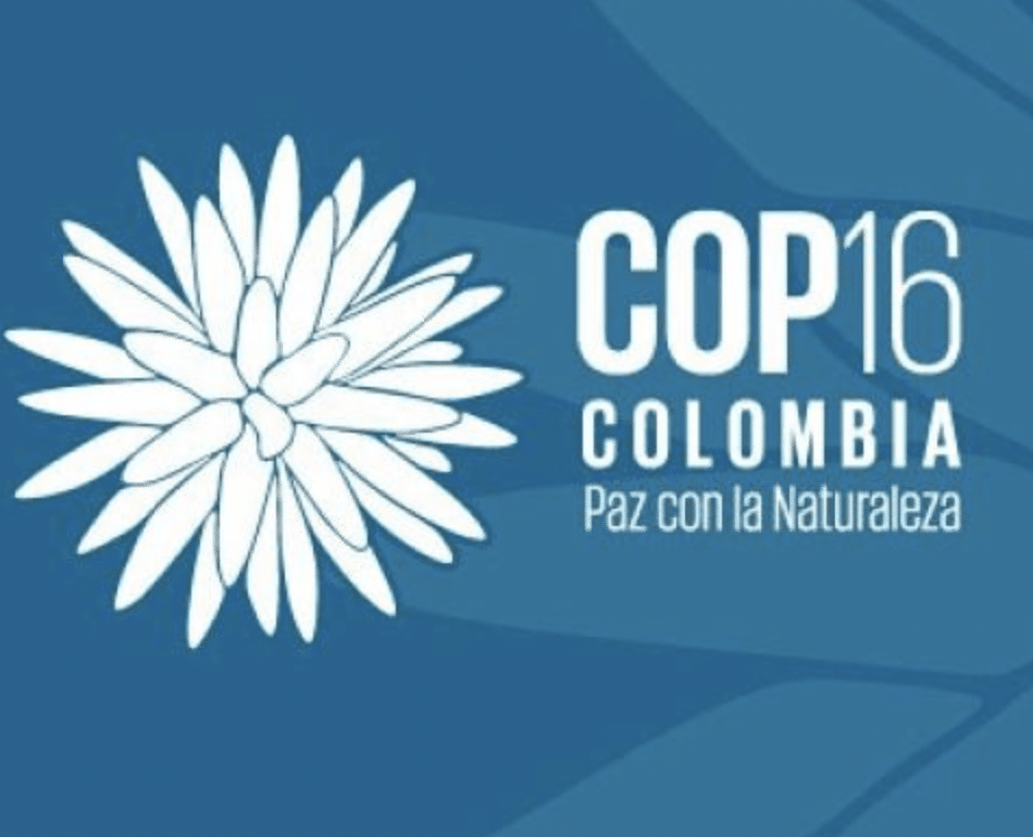 Land is Life en la COP16