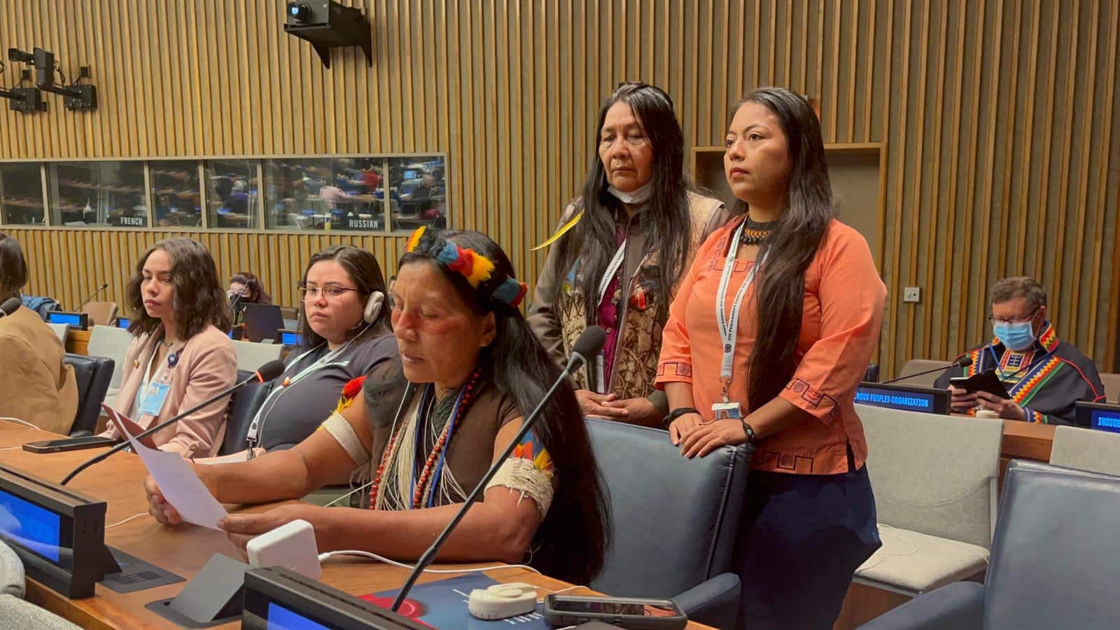 Defensa de los derechos de las mujeres Indígenas a través del sistema de las Naciones Unidas